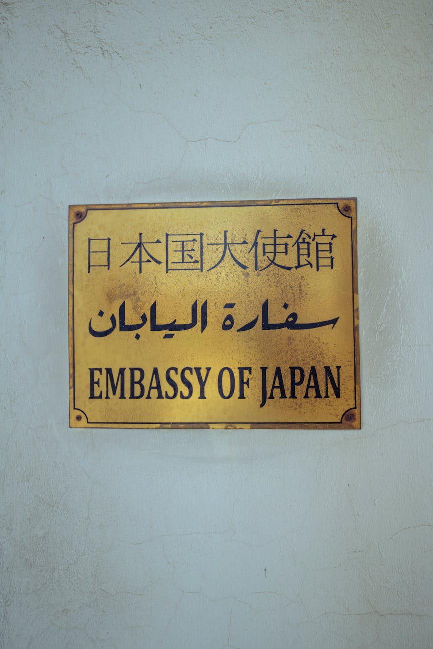 Drept Diplomatic România Ghid Esențial Afaceri