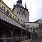 cover image 885