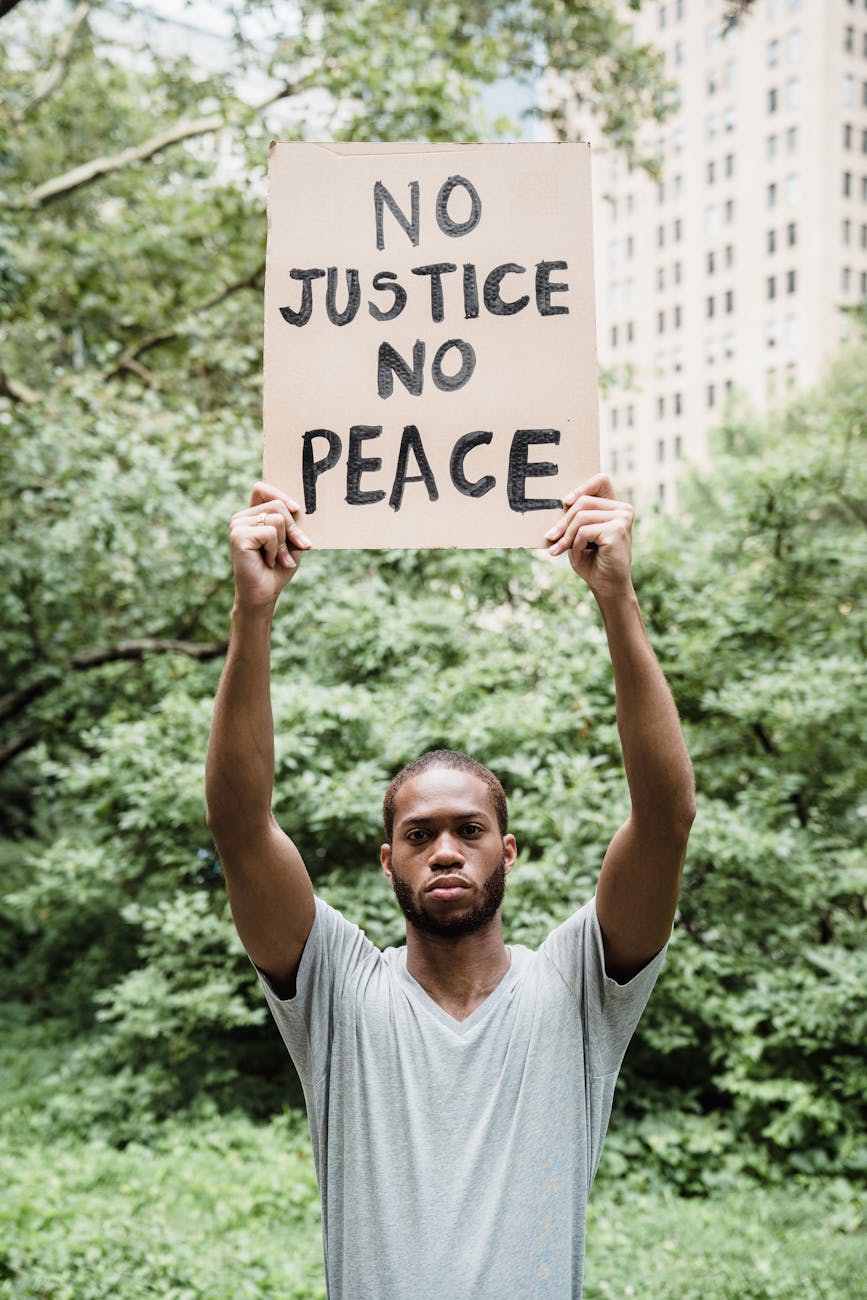 cover image 924